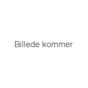 Bøger af Lasse Sørensen